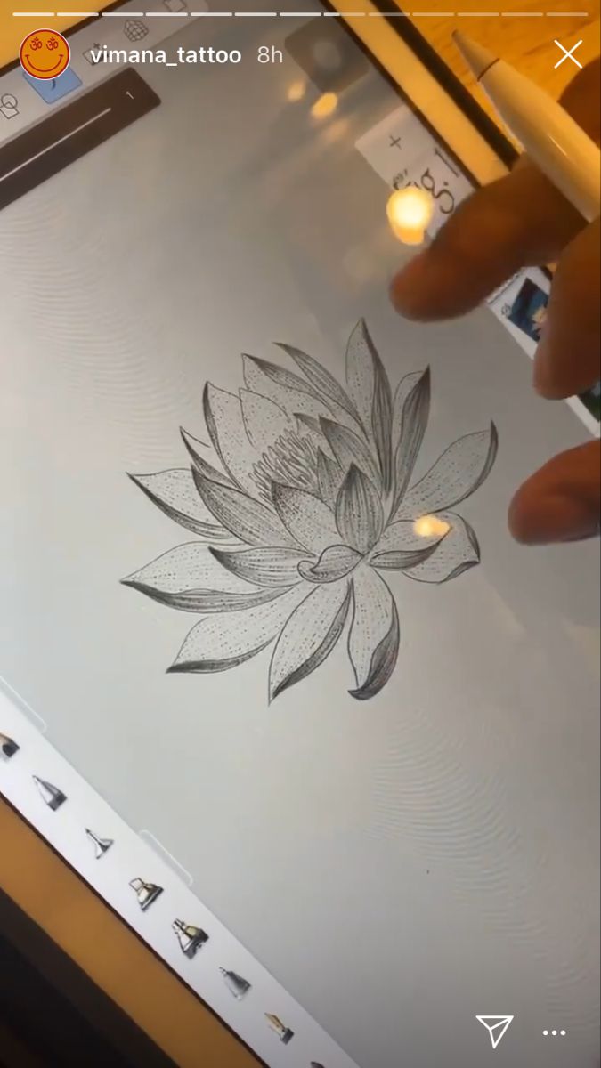 someone is drawing a lotus flower on the screen