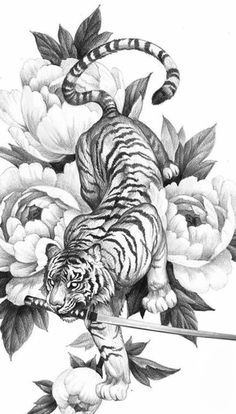 Prowling Lion Tattoo, Japanese Sketch Art Anime, Tiger Body Drawing, Japanese Animals Tattoo, Japanese Tattoos Tiger, Tiger Body Tattoo, Japanese Tiger Drawing, Tiger Art Tattoo, Japanese Tattoo Tiger