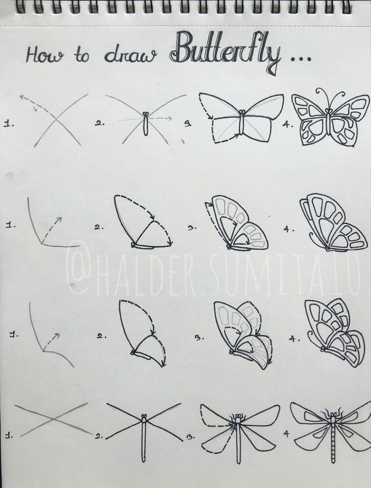 an open notebook with drawings of different types of butterflies and how to draw them on it