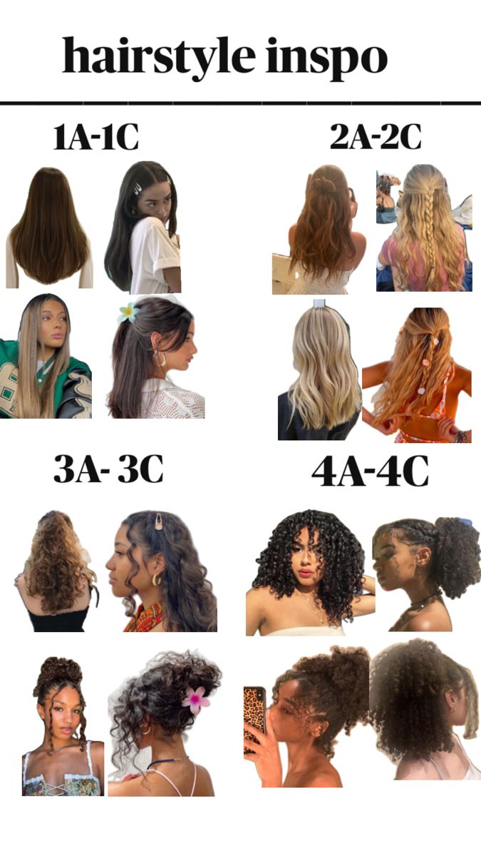 Hairstyle inspo for all hair types, 1a 1b 1c 2a 2b 2c 3a 3b 3c 4a 4b 4c💗 Type 1c Hair, Type 2 Hair, Type 3a Hair, Type 2a Hair, 3c Hair Type, Hair Type Chart, 3a Curly Hair, 4a Natural Hair, 3a Hair