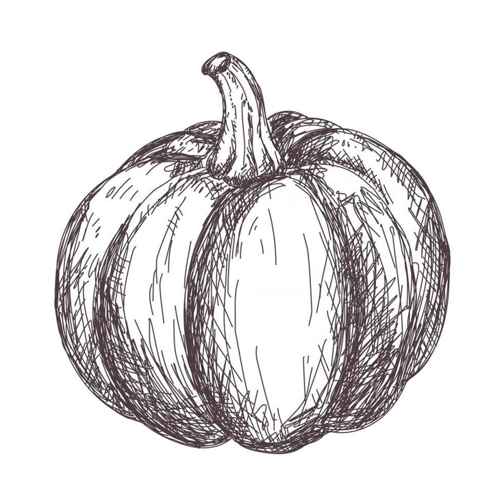 a black and white drawing of a pumpkin