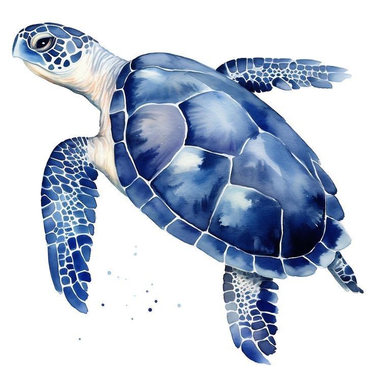 a watercolor painting of a sea turtle in blue and white colors on a white background