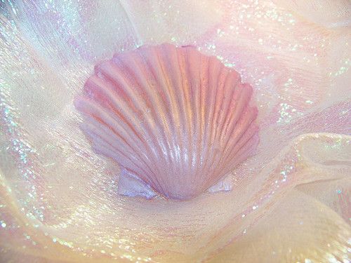 a pink sea shell sitting on top of a white cloth covered in water droplets and glitters