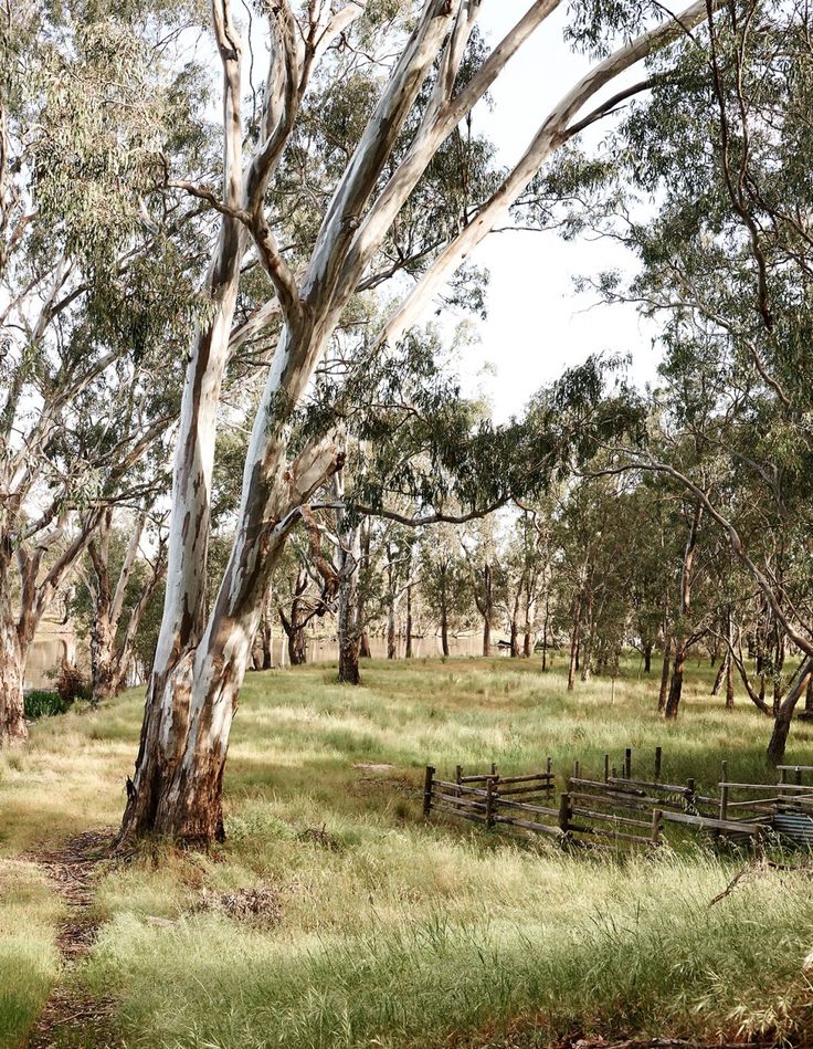 a wooden fence surrounded by trees and grass