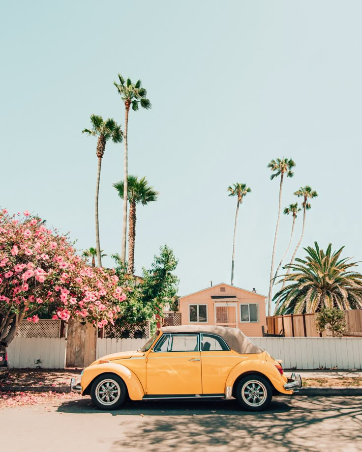 an old yellow car parked in front of some palm trees and pink flowers on a sunny day