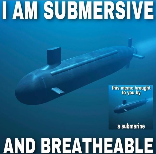 Hadal Zone, Marine Scientist, Deep Fried Memes, Text Memes, Silly Me, Really Funny Pictures, Best Memes, Submarine, Puns