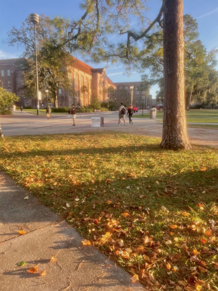 people are walking on the sidewalk in front of a tree and some grass with fallen leaves