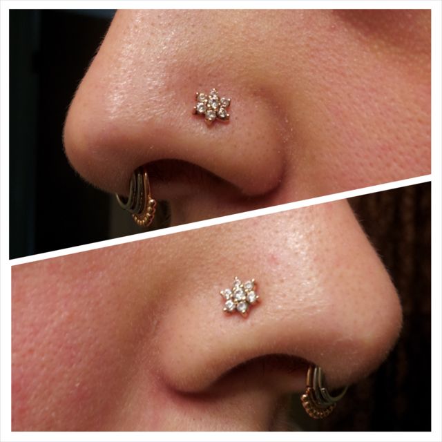 the nose has three small flowers on it's side and two smaller ones are attached to each other