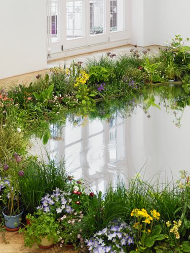 an assortment of flowers and plants are arranged around a pond in the middle of a room