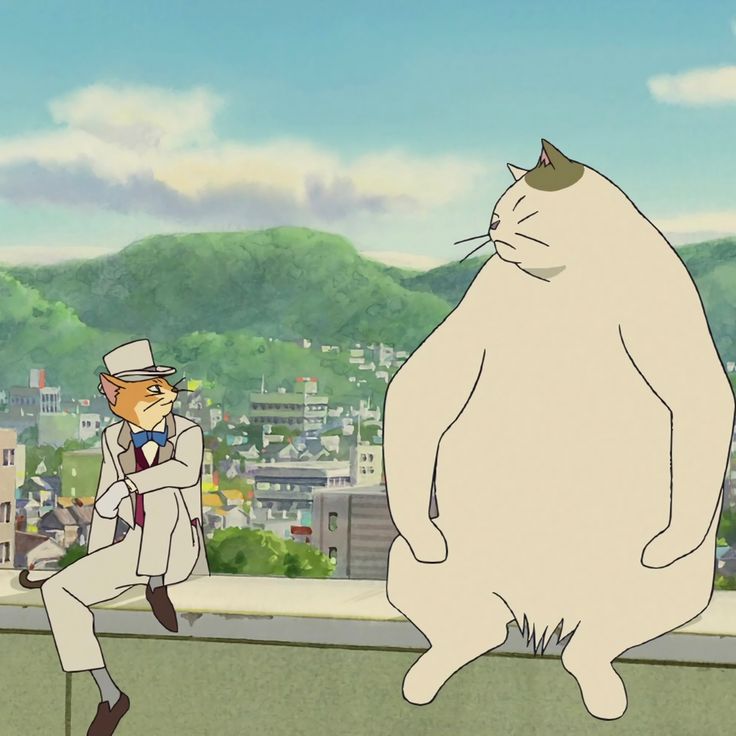 a cat standing next to a man on top of a roof in front of a city