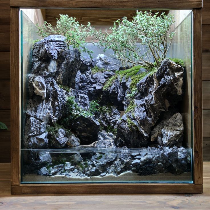 an aquarium with rocks and plants in it