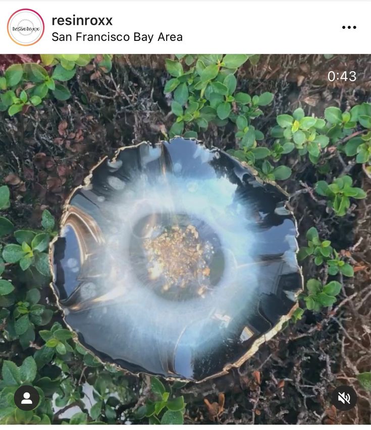 an aerial view of a tree stump in the grass