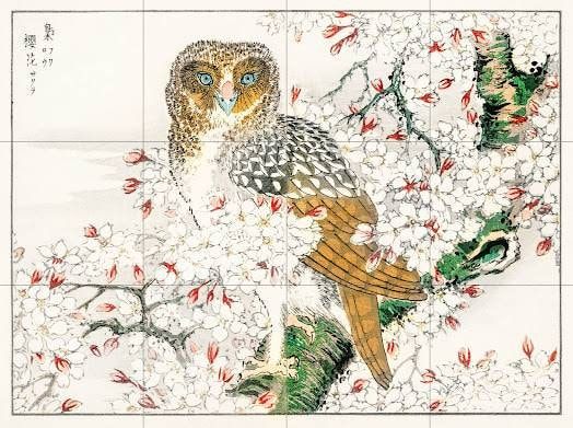 Owl Mural, Japanese Bird, Short Eared Owl, Cherry Flower, Tree Illustration, Vintage Motorcycles, Sumi E, Woodblock Print, Flower Illustration