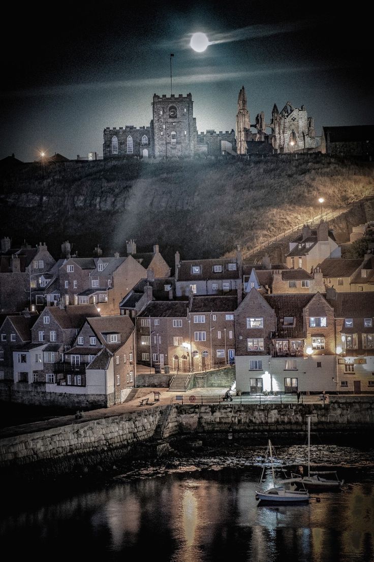 an image of a city at night with the moon in the sky and boats on the water