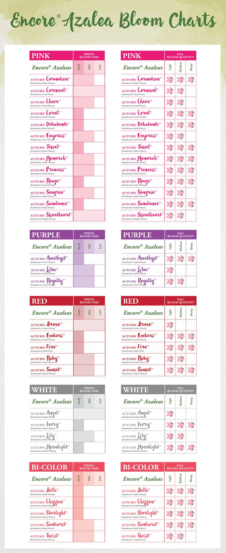 a printable chore - tale bloom chart with the names and numbers on it