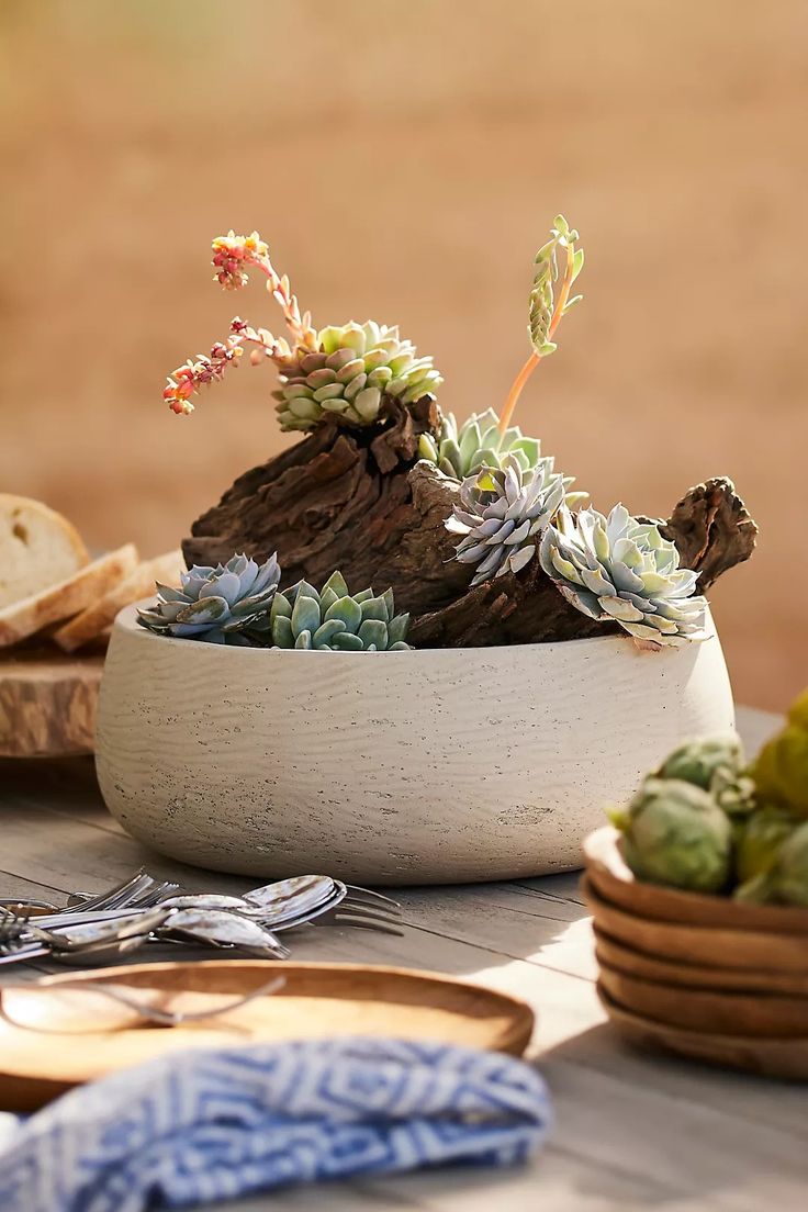 a table topped with a bowl filled with succulents next to bread and utensils