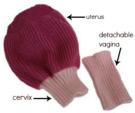 the parts of a knitted hat and mitten are labeled in red, pink, and white