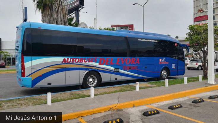 a blue and white bus is parked on the side of the road