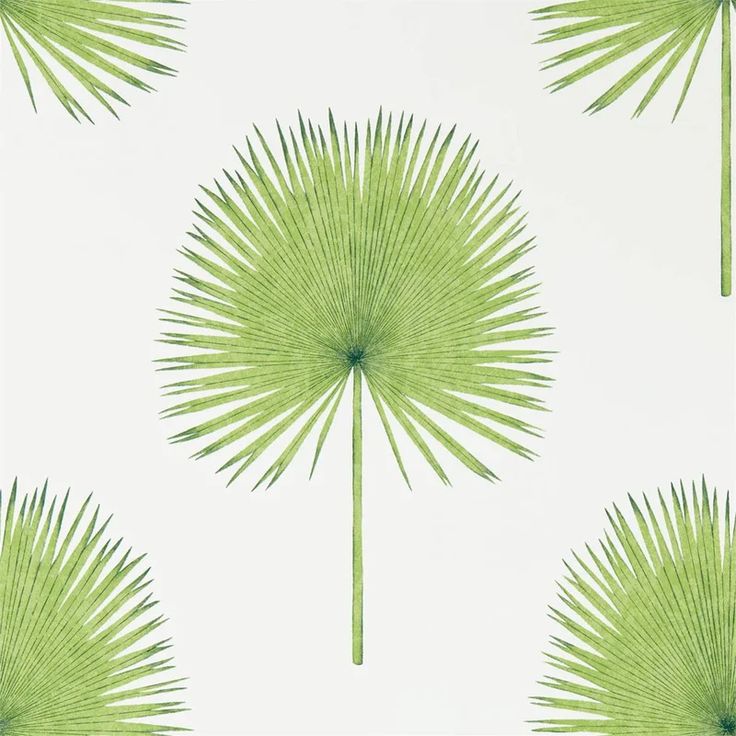 a wallpaper with green palm leaves on it's back drop in front of a white background