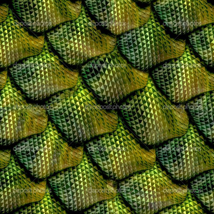 a green snake skin texture with diagonal stripes and diamond pattern on the outside, as a background