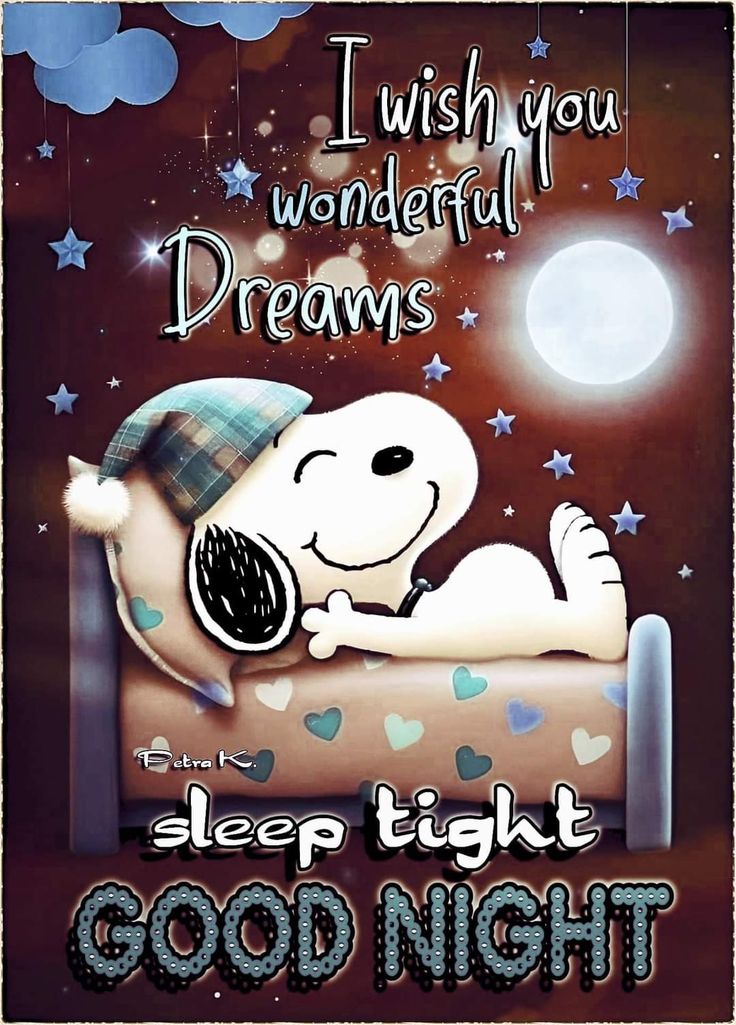 a snoopy dog sleeping on top of a bed with the words i wish you wonderful dreams