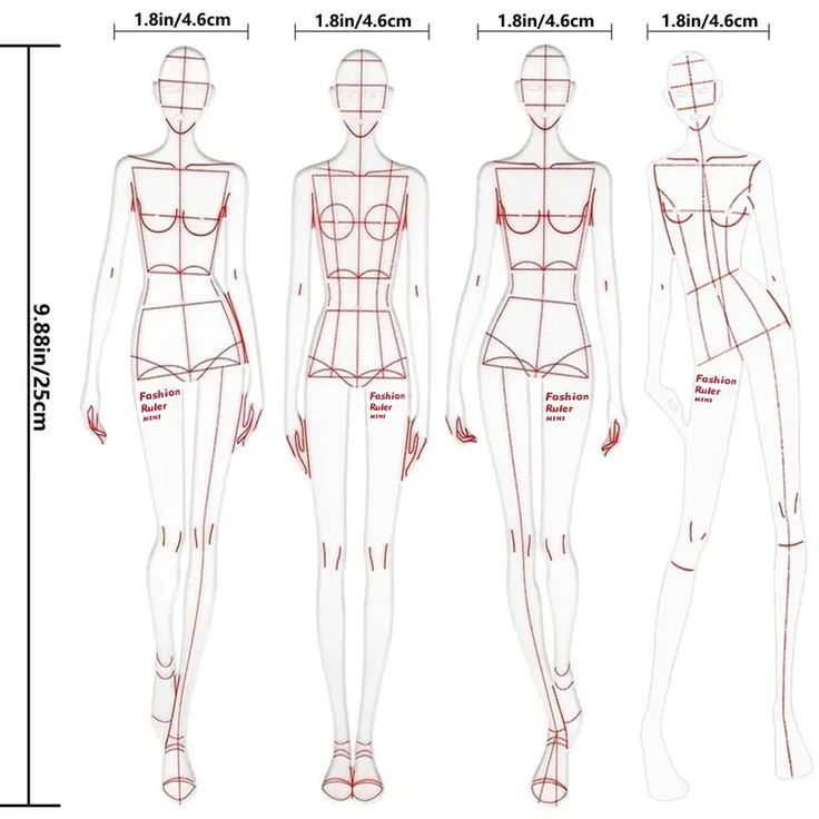 the body shape chart shows how to measure it for each woman's body type