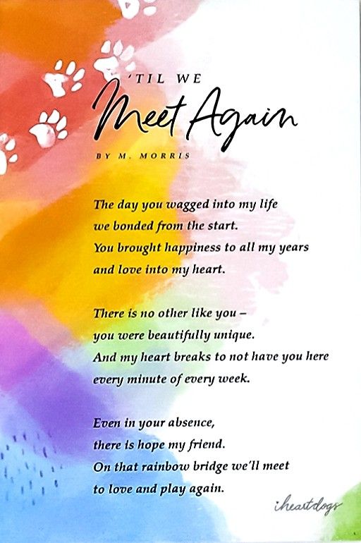 the poem is written in front of a colorful background with paw prints and words on it