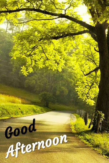 an image of a road with the words good afternoon written in front of it and trees