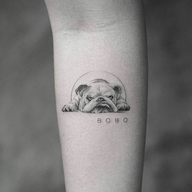 a small pug tattoo on the left inner forearm and leg, with an inscription bob