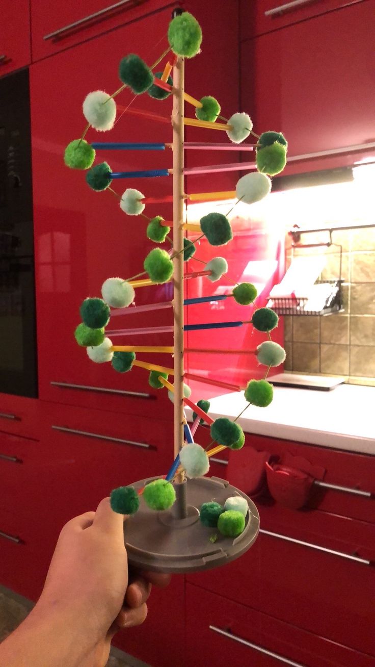 a person holding a tray with green pom poms on it in a kitchen