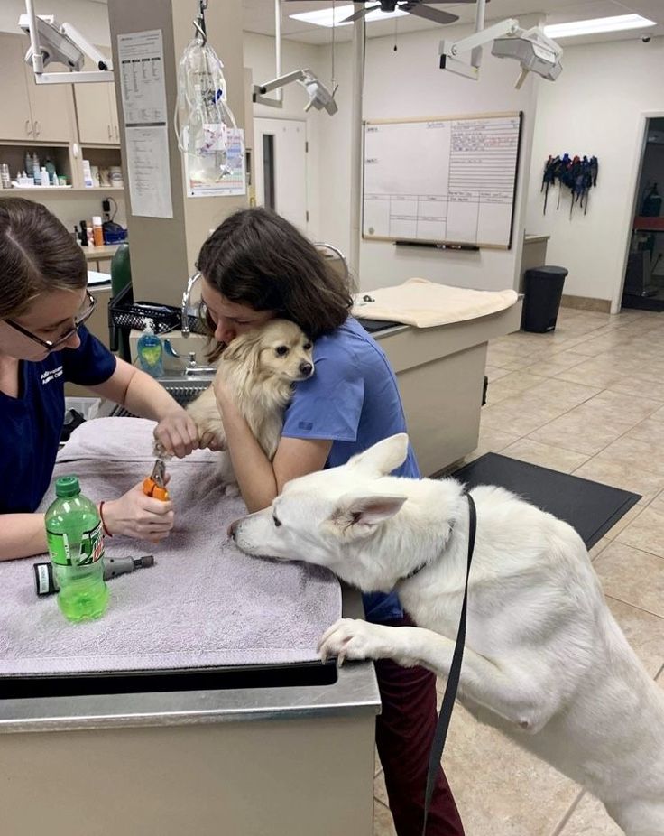 two women and a dog in a vet's office with supplies on the counter