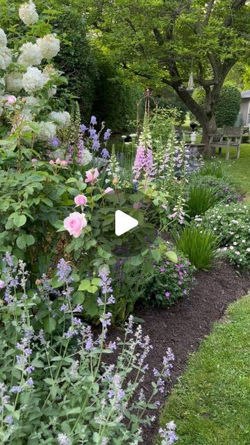 a garden filled with lots of different types of flowers