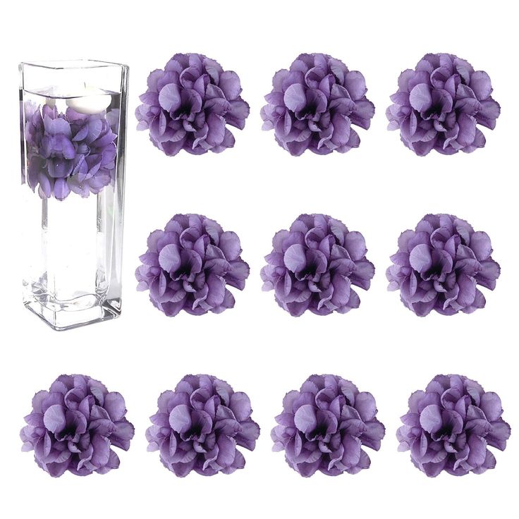 a bunch of purple flowers in a glass vase next to each other on a white background