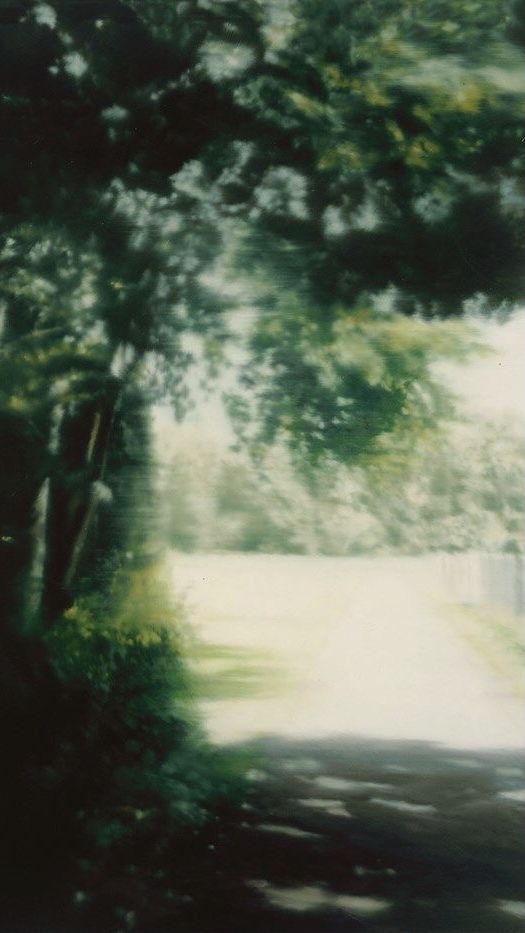 an image of a tree lined road in the middle of the day with no one on it