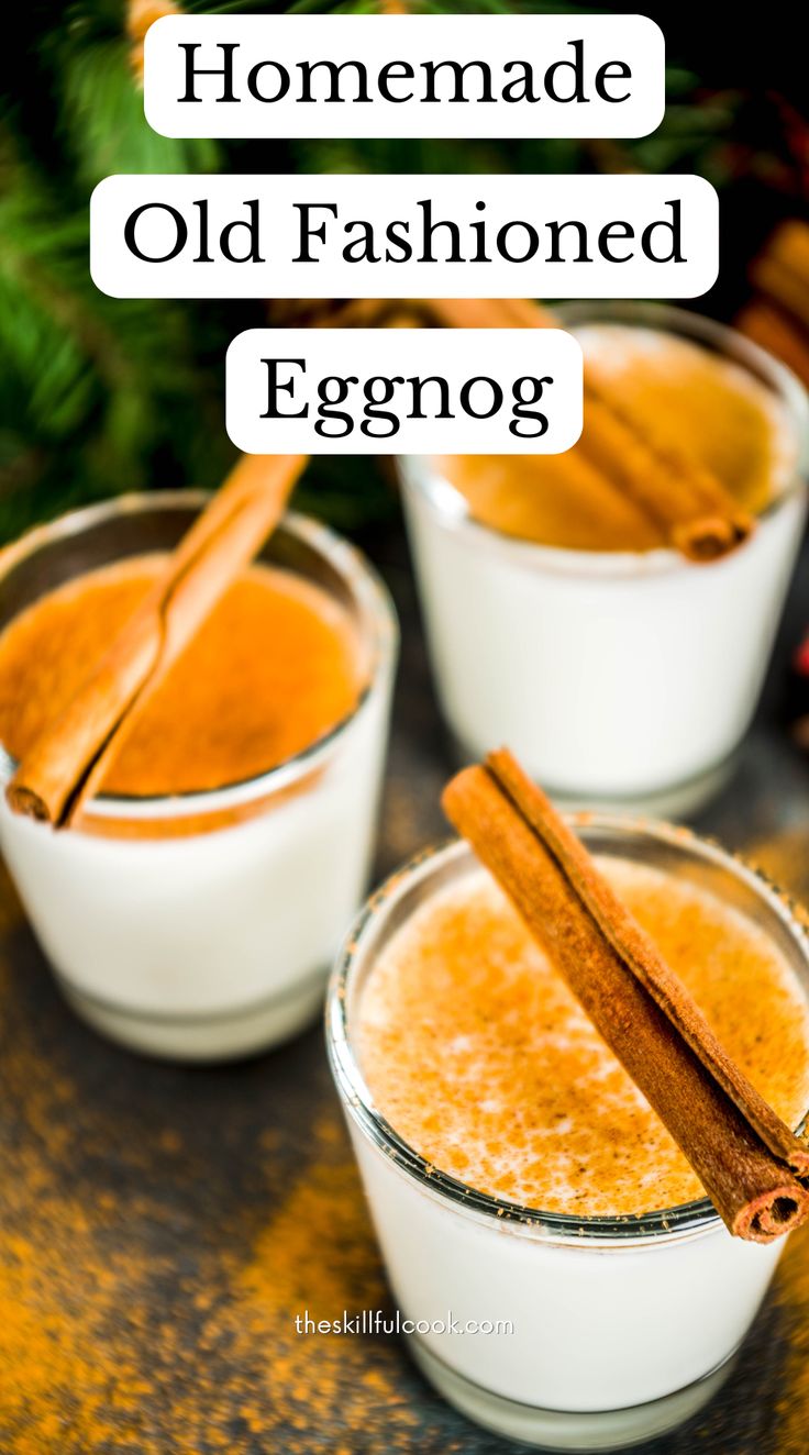 Easy Homemade Eggnog Recipe – creamy, classic Christmas drink.Classic Christmas Recipes,Eggnog Recipes Vanilla Spice Eggnog Recipe, Aged Eggnog, Best Eggnog Recipe, Homemade Eggnog Recipe, Alcoholic Eggnog, Classic Eggnog, Eggnog Recipe Homemade, Christmas Eggnog, Easy Eggnog