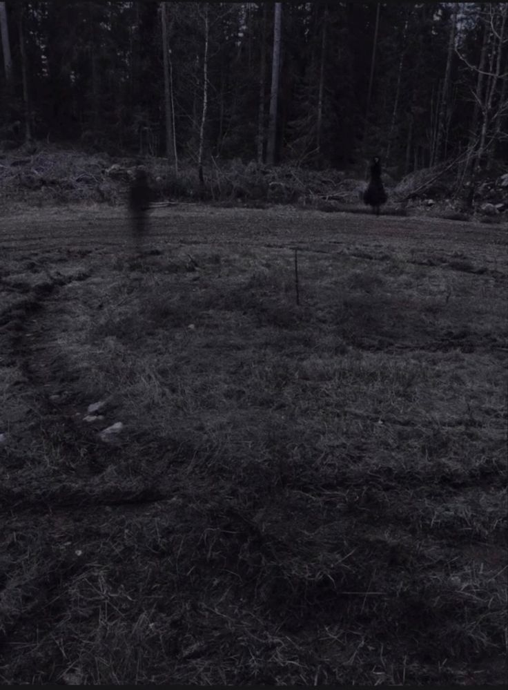 a black and white photo of a person walking in the woods with trees behind them