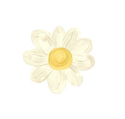 a white and yellow flower on a white background