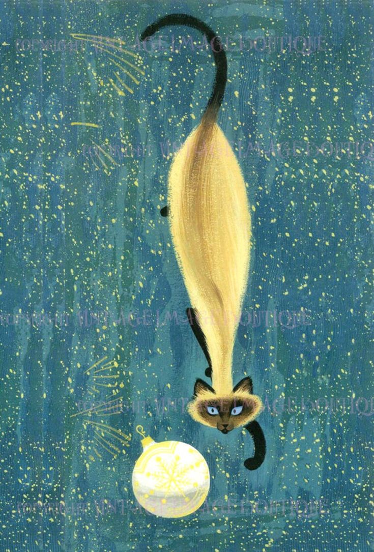 a painting of a siamese cat and an onion on a blue background with stars