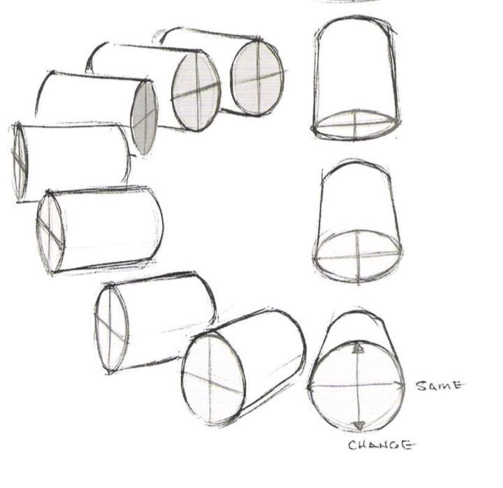 the steps to drawing toilet paper rolls