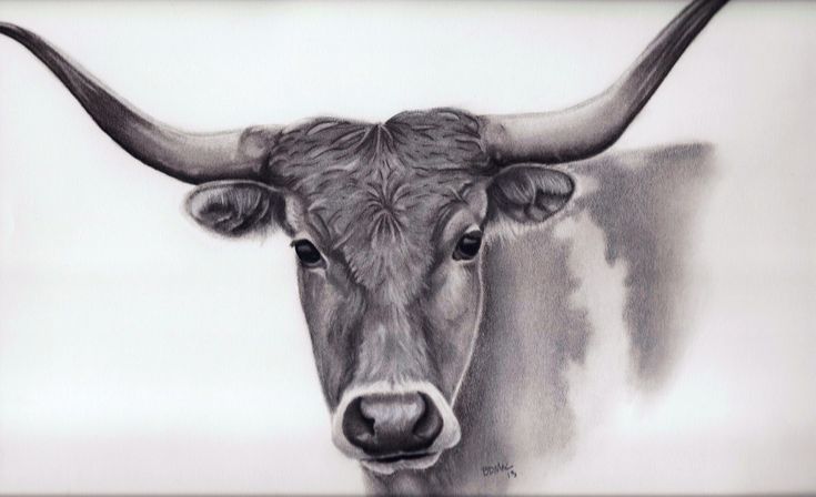 a black and white drawing of a cow's head with long horns, looking straight ahead