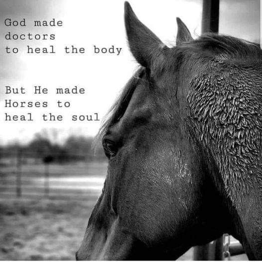 a black and white photo of a horse with the words god made doctors to heal the body but he made horses to heal the soul