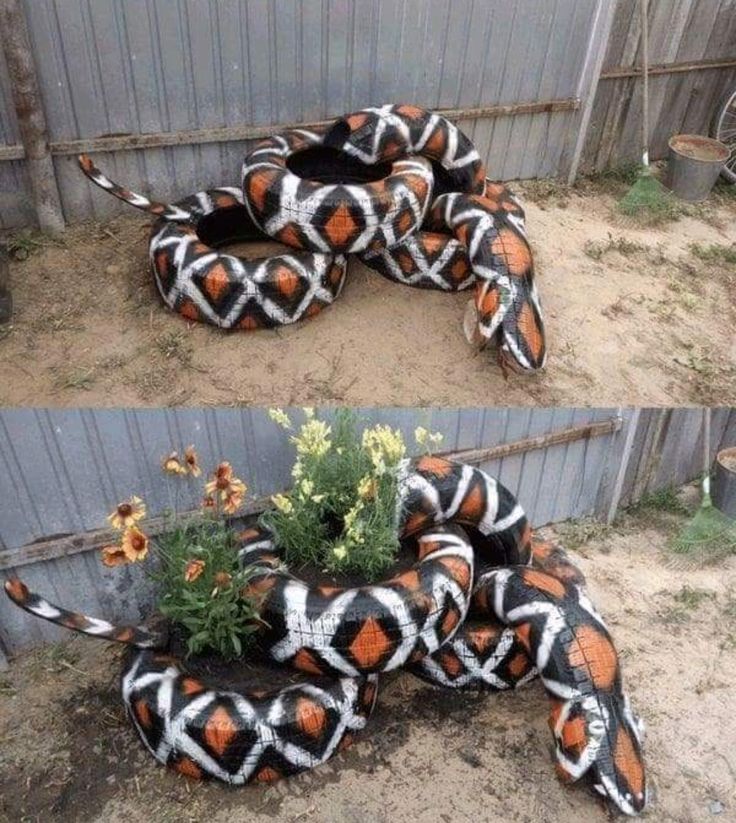 two pictures of an orange and black snake with white stripes on it's body