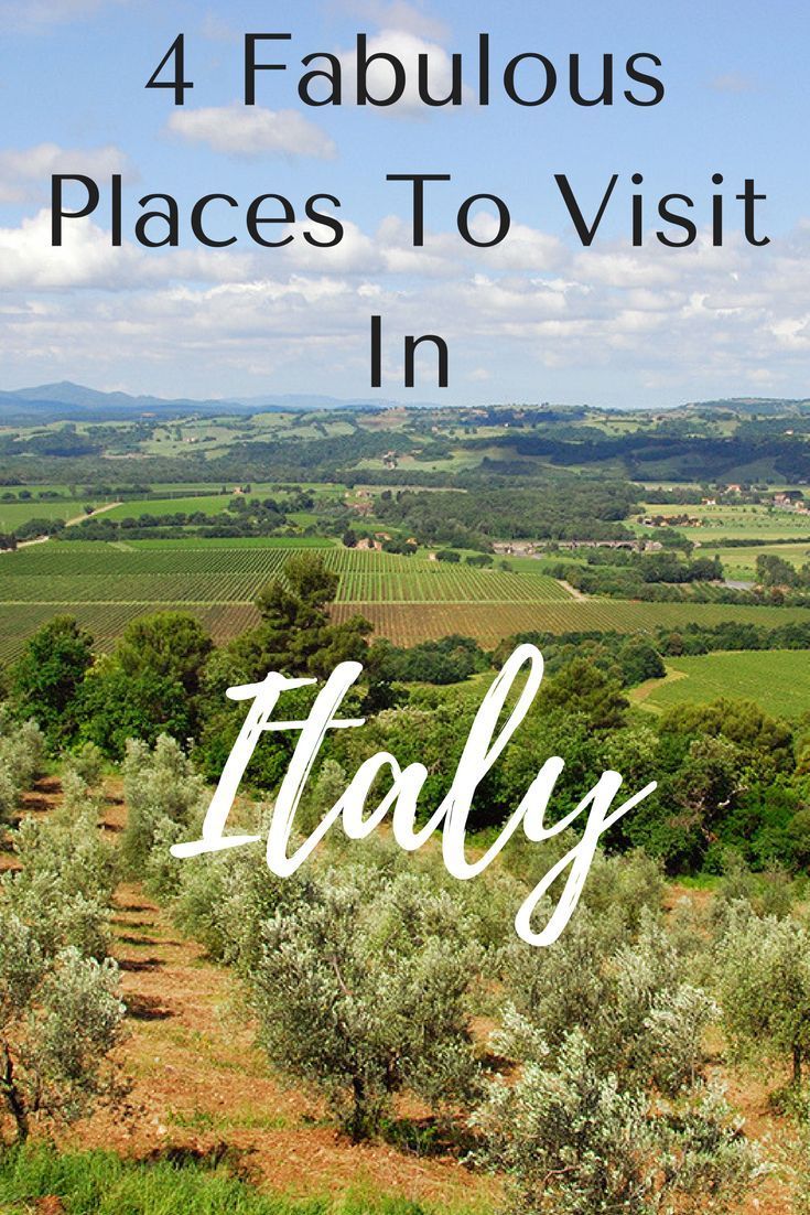 an olive grove with the words 4 fabulous places to visit in italy