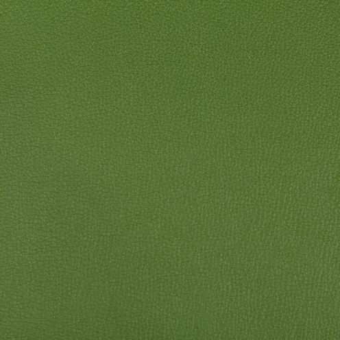 a green leather textured surface with no visible stitching on the bottom and sides