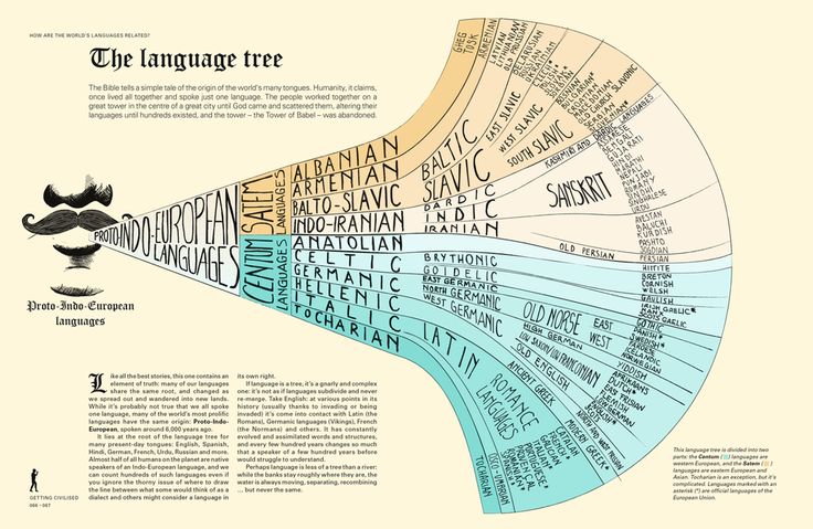 the language tree is shown with different languages