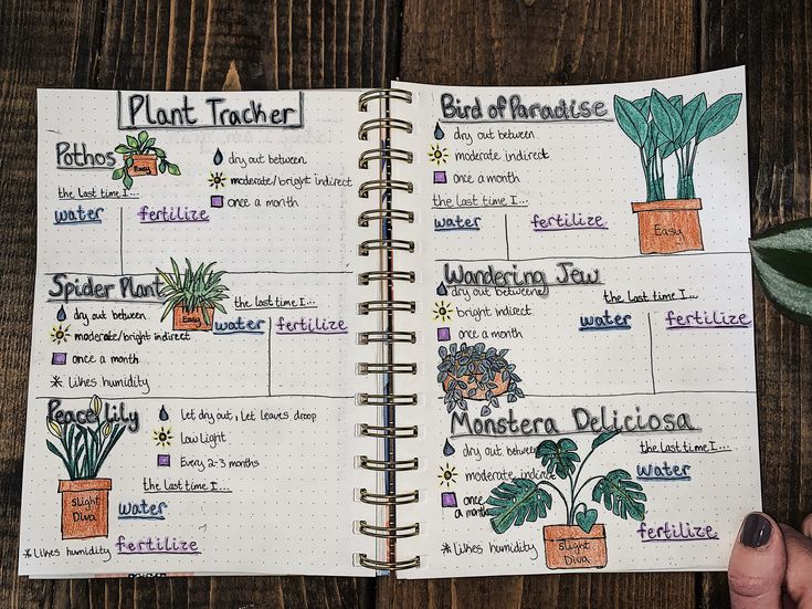 a hand holding a notebook open to a planner with plants on it and the words plant teacher written in cursive writing