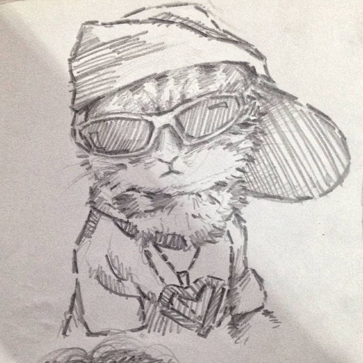 a drawing of a cat wearing sunglasses and a hat