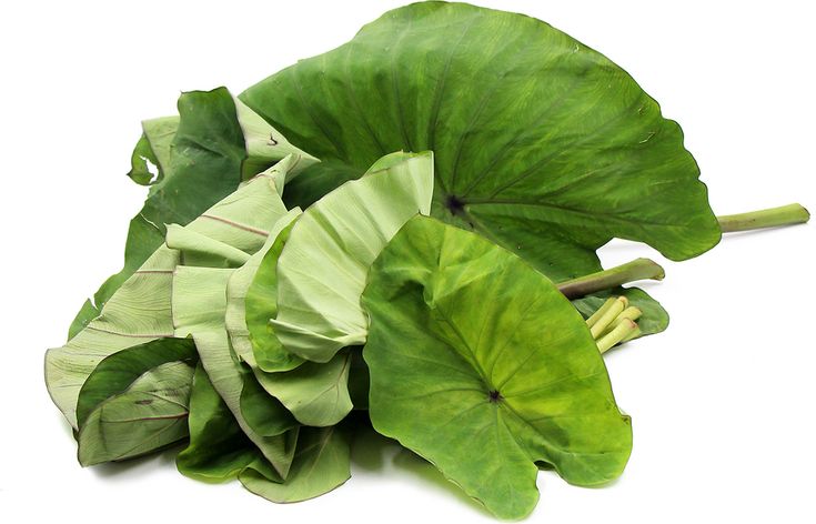 some green leafy plants on a white surface