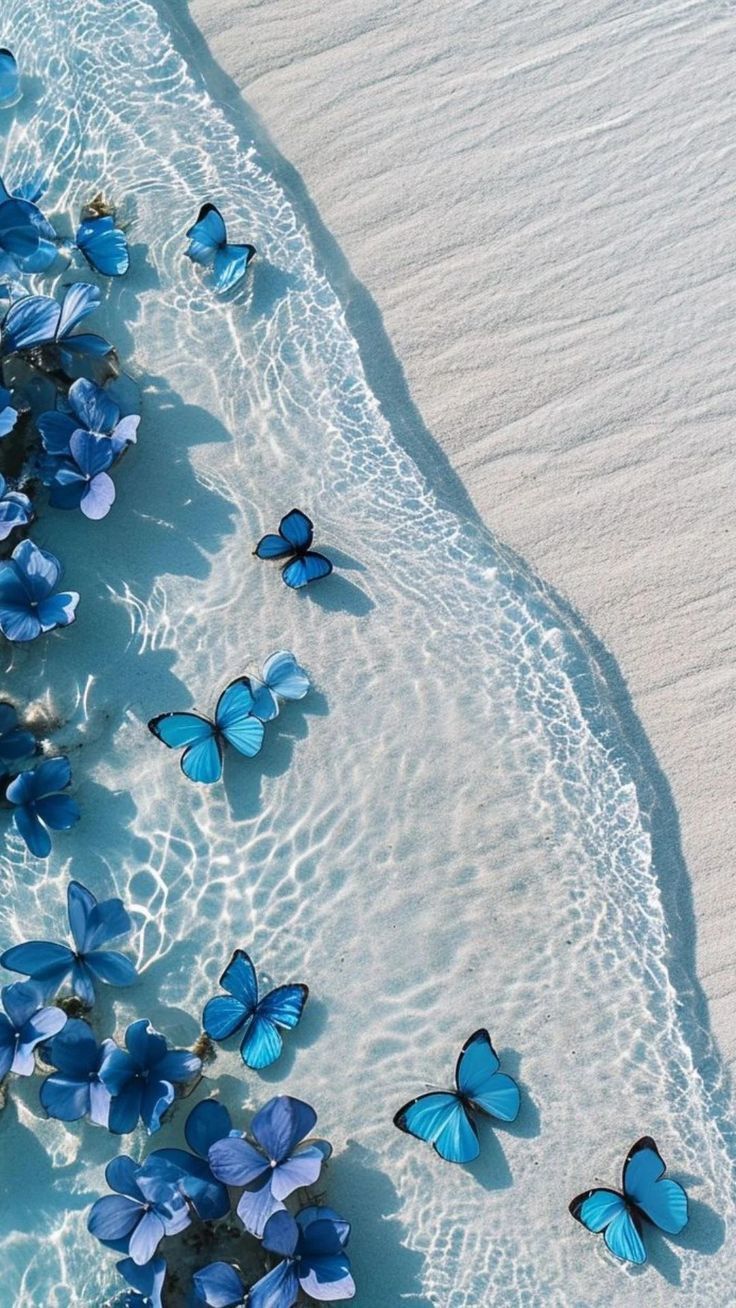 Blue theme wallpaper-butterfly Sparkly Iphone Wallpaper, Cute Summer Wallpapers, Cute Blue Wallpaper, Beautiful Ocean Pictures, Pretty Phone Wallpaper, Simple Phone Wallpapers, Blue Butterflies, Pretty Landscapes, Spring Wallpaper