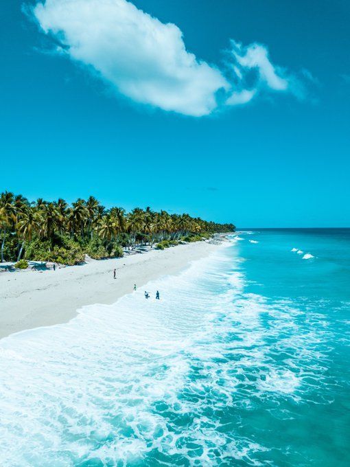 people are walking on the beach next to the water and palm trees in the background